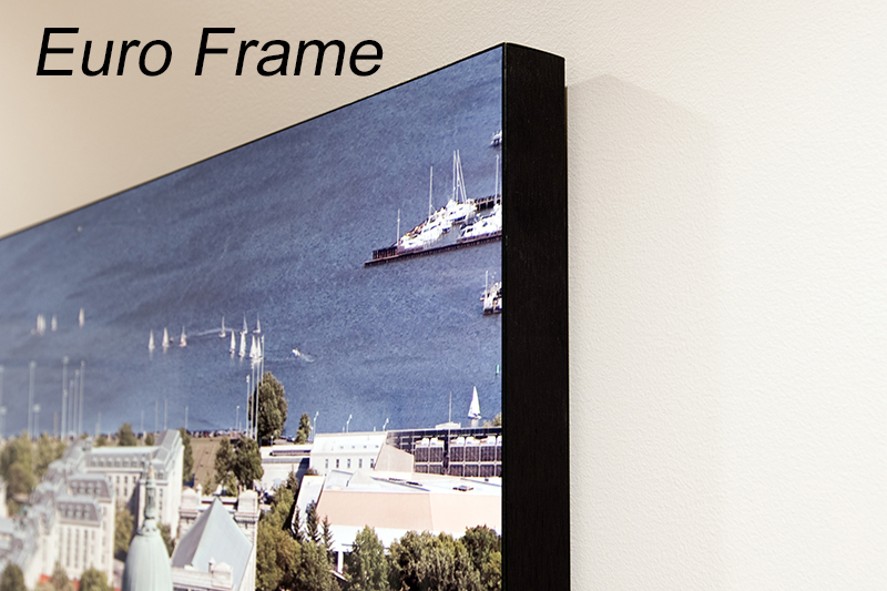Metal euro frame