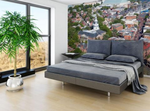 Wall mural example 7